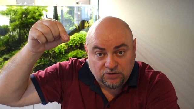 Aqua RiO - вот ты какой! смотреть онлайн