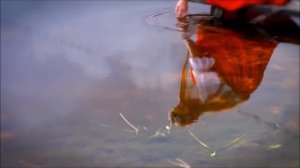 Литературная шпаргалка - Карело-финский народный эпос «Калевала»