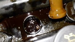 Ford Focus .Масло в свечных колодцах.