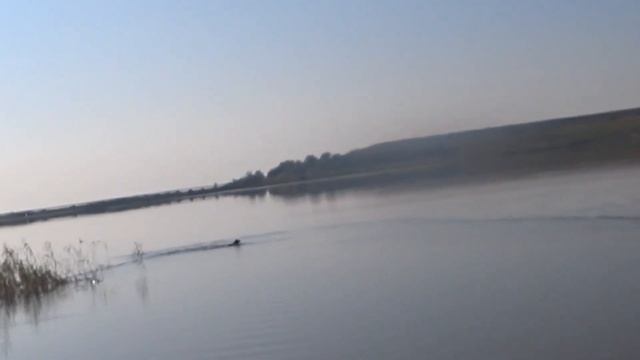 охота на крякву смотреть онлайн
