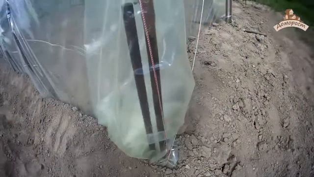 Парник своими руками из пленки "Светлица". смотреть онлайн