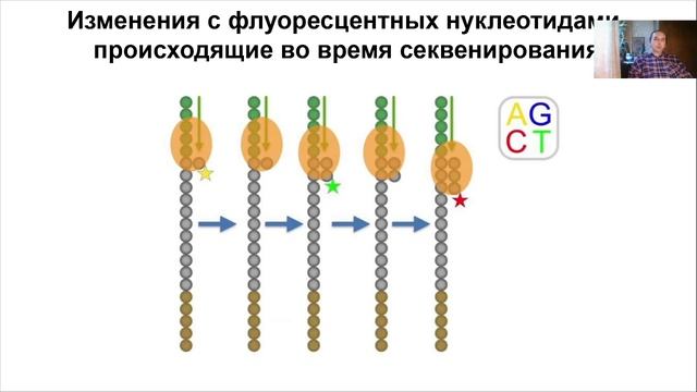 Лекция 10. Секвенирование ДНК.