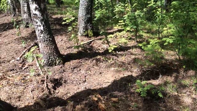 Быстринский скит смотреть онлайн
