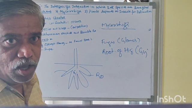 C N Setty IIpuc Biology-Organisms and Population смотреть онлайн