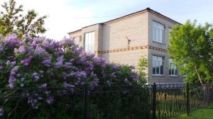 Песни нашей юности голуби целуются на крыше