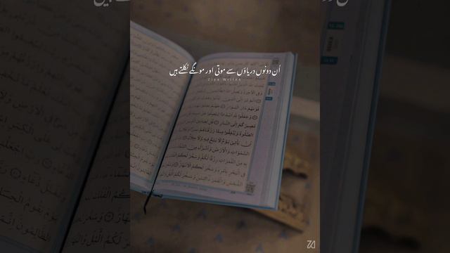 Kon Si N'emat Ko Jhuthlaoge Surah Ar Rahman WhatsApp status❤ смотреть онлайн