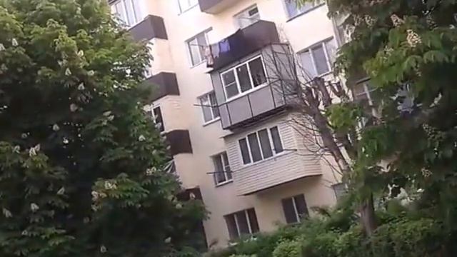 Цветут каштаны, г.Нарткала,ул. Борукаева. смотреть онлайн