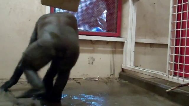 Ржачные танцы # 2 смотреть онлайн