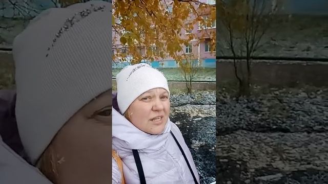 стихотворение "А у нас летит первый снег" Автор Алексеева Надежда. смотреть онлайн