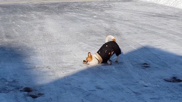 Весна наступает. смотреть онлайн