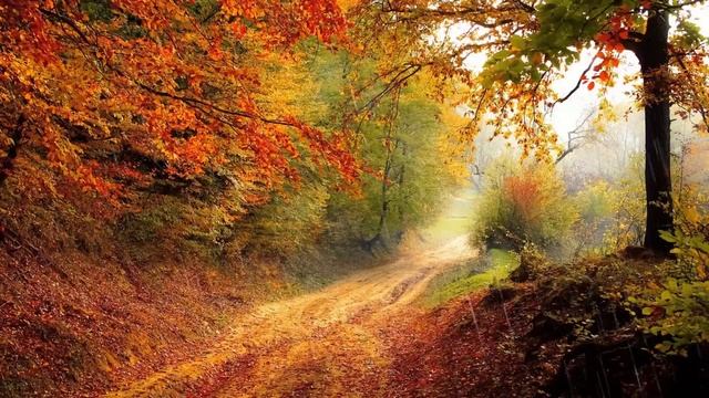 Осенний лес, звук леса, осенний пейзаж смотреть онлайн
