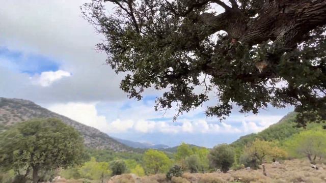 ЧЕМ ЗАНЯТЬСЯ В ТУРЦИИ ЗИМОЙ? КАРИЙСКАЯ ТРОПА: ЛАЙТ ВЕРСИЯ. ЧАСТЬ 1. смотреть онлайн