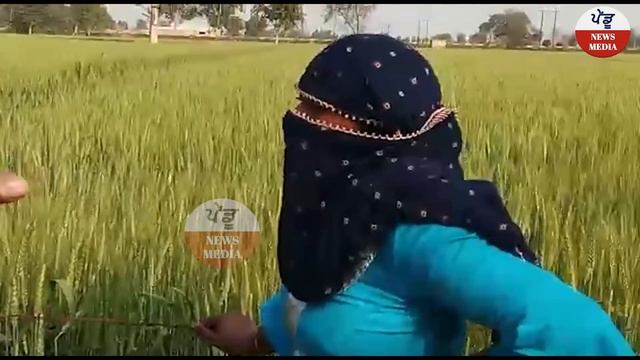 Punjabi Viral Video 2022 | 21 Sal Di Kudi Te 60 Sal Da Bajurg Kr Rhe C Galt Km | Pendu News Media| смотреть онлайн