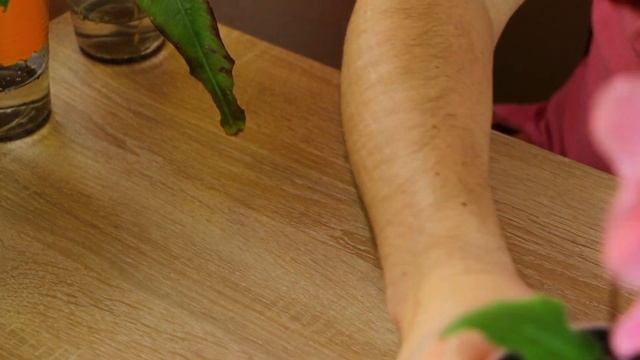 ЦВЕТЕНИЕ СТРЕПТОКАРПУСОВ В АПРЕЛЕ! Моя Цветущая коллекция Обзор! смотреть онлайн