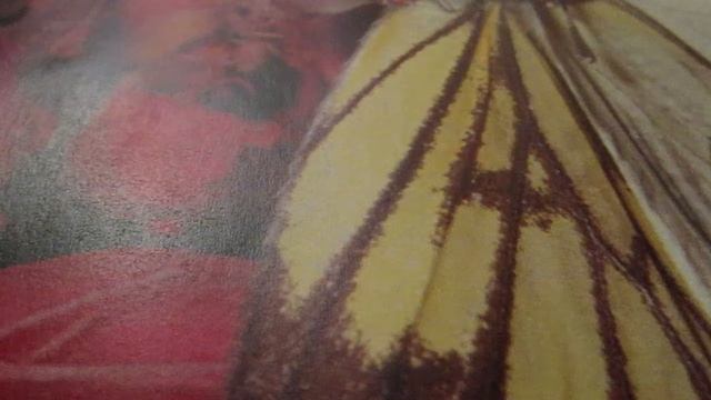 Сенсорное развитие детей.Sensory Development Of Children.