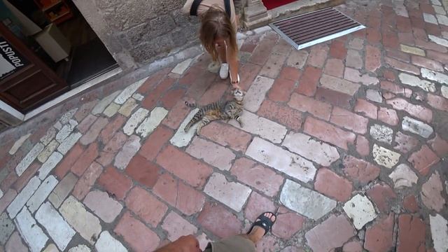 Черногория. Крепость в Которе. Смотровая площадка