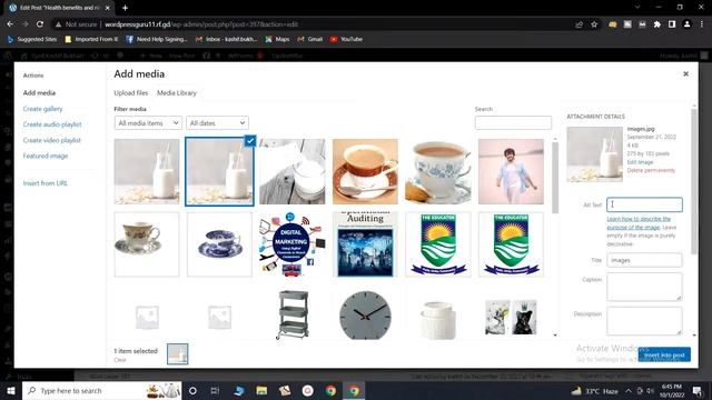 Page Title I Alt Text Image & Internal Links in WordPress смотреть онлайн