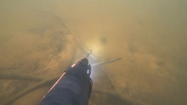 Подводная охота на Десногорском Водохранилище 10.03.20 смотреть онлайн