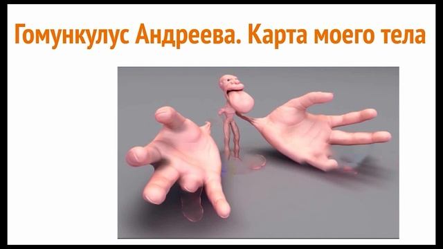 Зачем тренировать пальцы рук на клавиатурном тренажере и как пальцы влияют на мозг смотреть онлайн