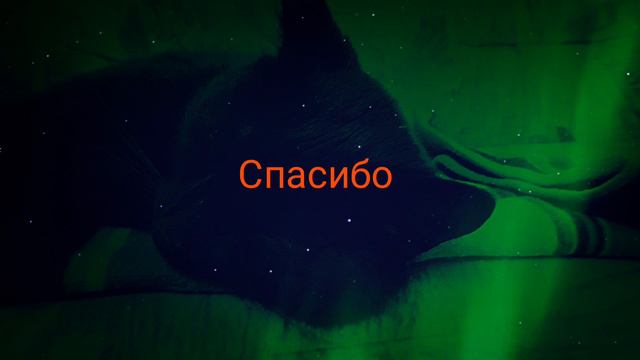 Пожалуйста сделайте мне на Новый год подарок смотреть онлайн