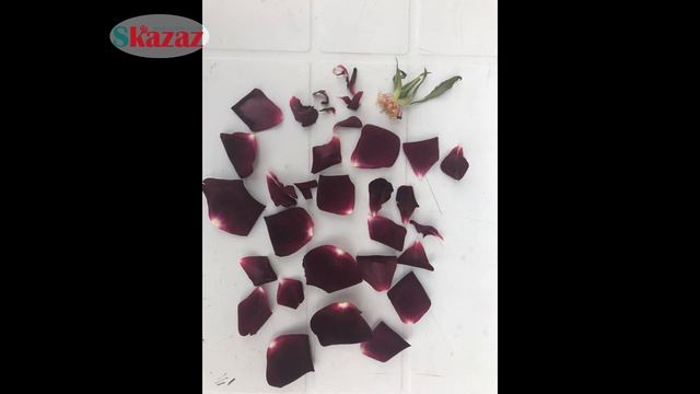 Gizemli Çiçek: Karagül, BlackRose, Siyah Gül, Halfeti Gülü. Karagül Gerçekten Siyah Mı?