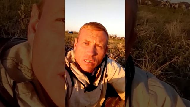 Стих в поле))) смотреть онлайн