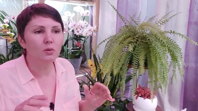 О ЛЮБВИ!!! смотреть онлайн