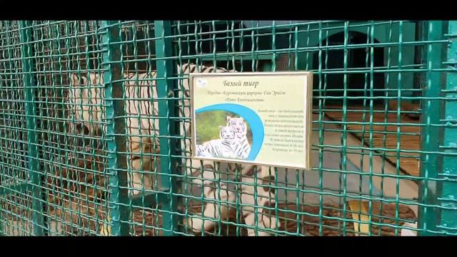 #Сочи Обзор Самого Лучшего САНАТОРИЯ 