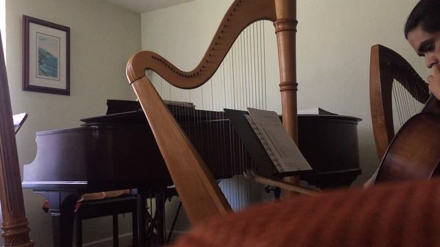 Bésame mucho (Cello & Harp dúo cover) смотреть онлайн