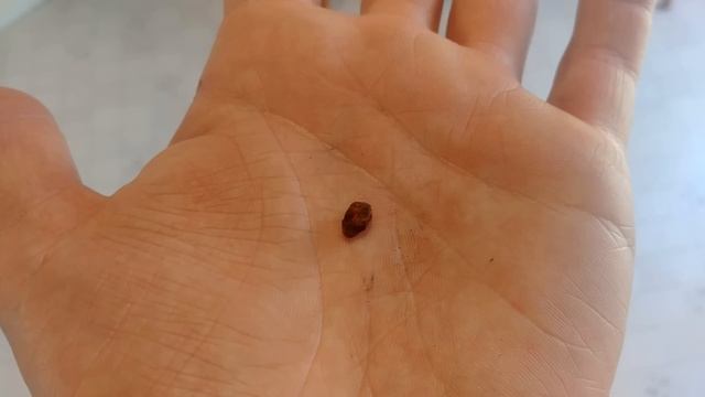 How To Find GOLD Using the Fisher Gold Bug 2! смотреть онлайн