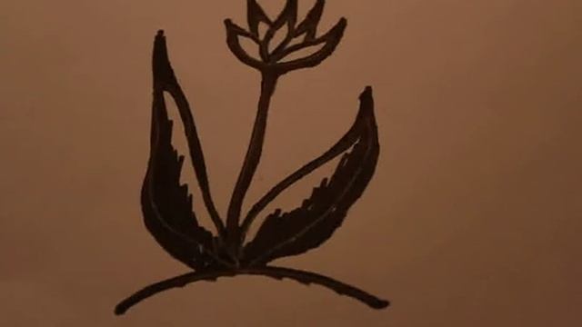 рисованная смотреть онлайн