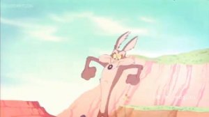 Road Runner Vs. Wile E. Coyote: Fast And Furry-Ous