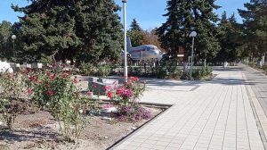 Бриньковская, восхищение и разочарование.