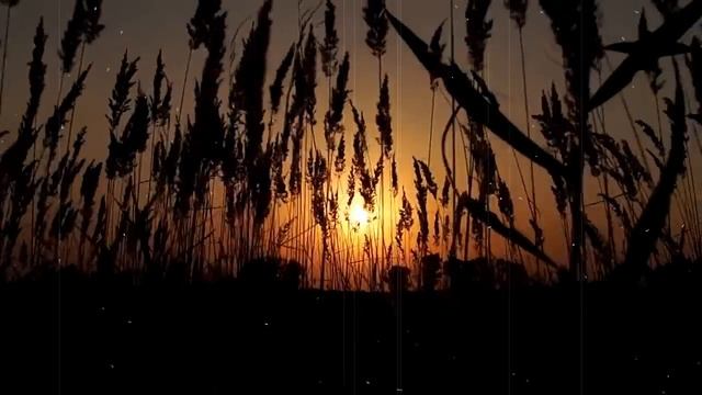 Жена Градского рассказала правду о смерти мужа смотреть онлайн