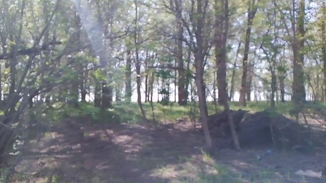 Астрахань вобла