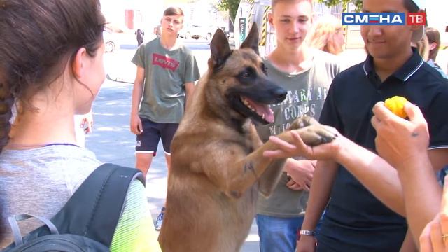 Образовательная программа на смене «Юный следователь» в ВДЦ «Смена» смотреть онлайн