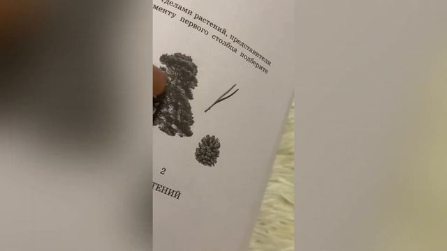 УСТНОЕ СОБЕСЕДОВАНИЕ 2023// паникую много* смотреть онлайн