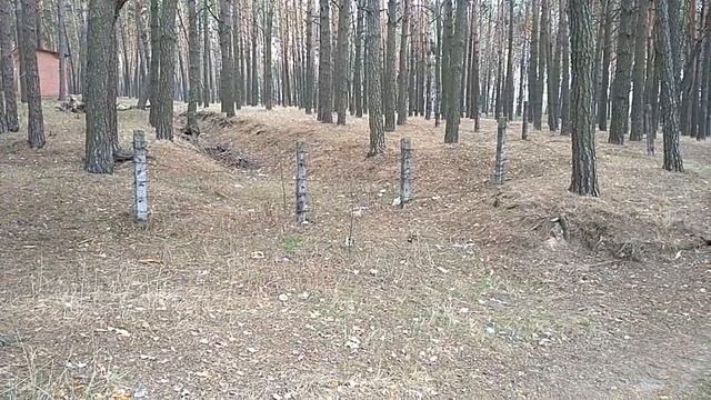 ГДЕ НАЙТИ МЕДЬ В ЛЕСУ ЗИМОЙ. ЦВЕТНОЙ МЕТАЛЛ ВОКРУГ НАС смотреть онлайн