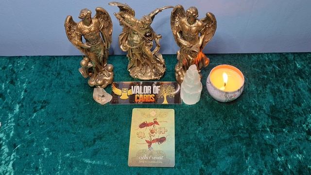 ANIMAL SPIRIT #tarot #oracle #spiritual #healing #curiosity #spirituality смотреть онлайн