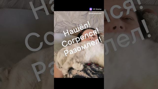 clip350042964_456240117-1.mp4