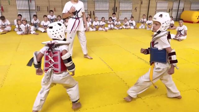 TAEKWONDO LIFE, ТХЭКВОНДО ДЕТИ #taekwondo #Тхэквондо #дети смотреть онлайн
