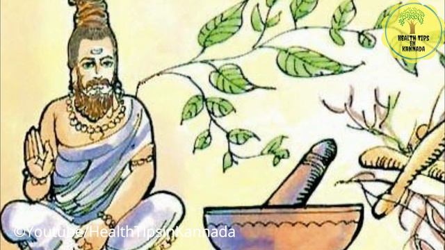 ಬುದ್ಧಿಶಕ್ತಿ ನೆನಪಿನ ಶಕ್ತಿ ಹೆಚ್ಚಿಸಬೇಕಾ? ಬೆಳಿಗ್ಗೆ ಒಂದೆಲಗದ 2 ಎಲೆಗಳನ್ನು ತಿನ್ನಿ Brahmi Benefits for Brai смотреть онлайн