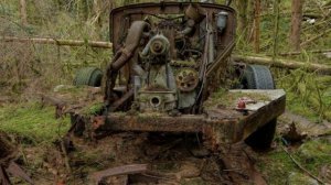 Заброшенная колонна техники в глухом лесу
