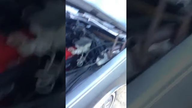 1987 Chevrolet Caprice Classic Brougham, just came out to check it out! смотреть онлайн