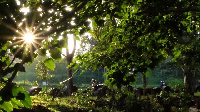 FUJIFILM XT10 - BACKLIGHT PHOTO WITH FUJINON LENS 16-50MM смотреть онлайн