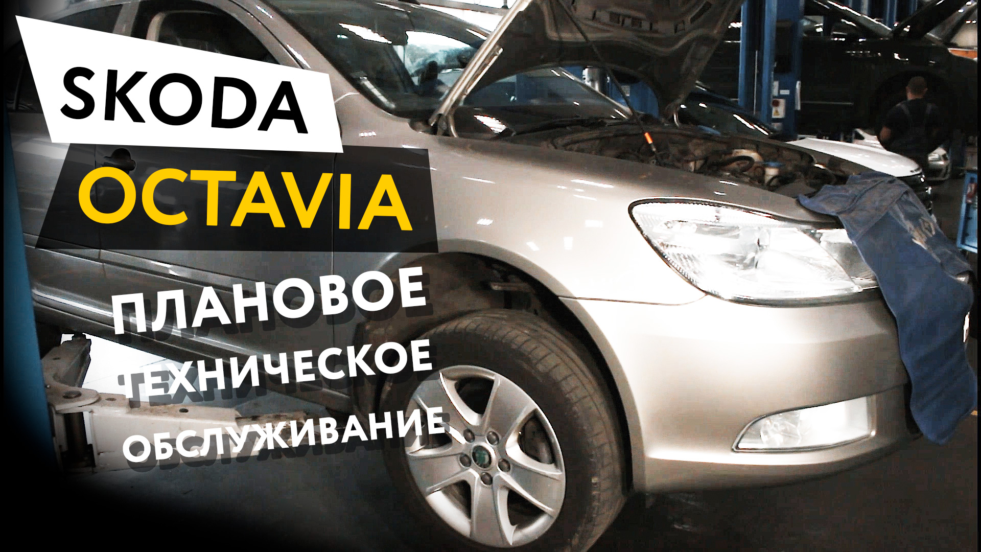 Плановое техническое обслуживание автомобиля Skoda Octavia 1,8 TSI смотреть онлайн