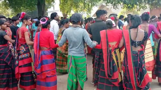 Jadichatar Karam Bhasani 2023/24 Santali Traditional Dance Video ?? смотреть онлайн