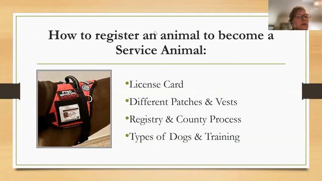 Service Animal Educational Forum смотреть онлайн