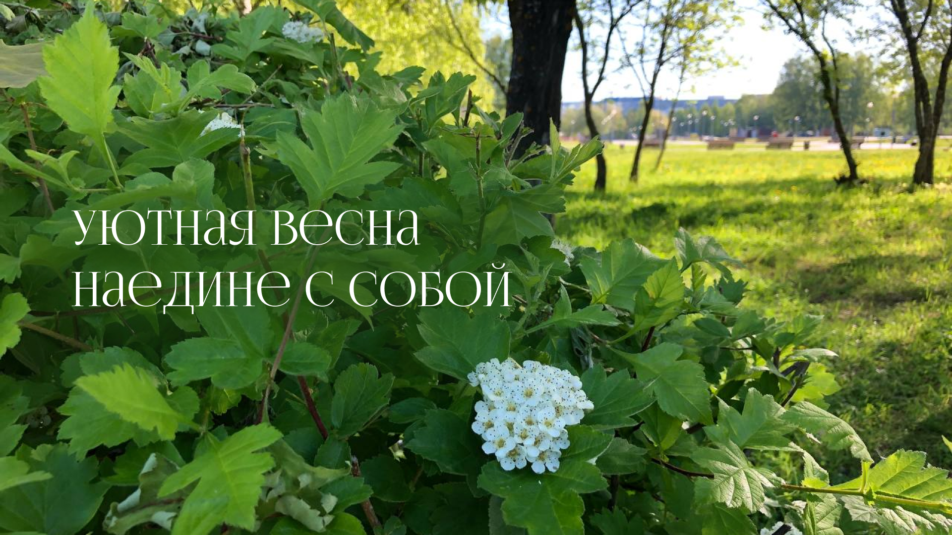 Весна | Spring