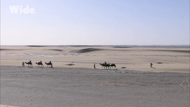 L'Oasis de Siwa : un parfum d'éternité I WIDE смотреть онлайн